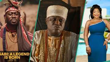 AMVCA 2025 Best Movie Award: Fans pick production that merits coveted golden plaque