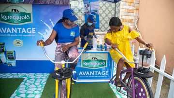 Kerrygold: Smoothie - The Key to a Healthier Life