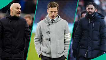 Enzo Maresca, Ruben Amorim, other Premier League managers sacked this season