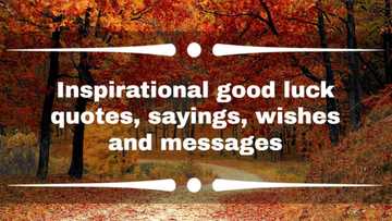 Inspirational good luck quotes, sayings, wishes and messages