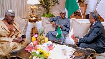 Da duminsa: Fadar shugaban kasa ta yi raddi a kan labarin kunyata Buhari a kasar Japan