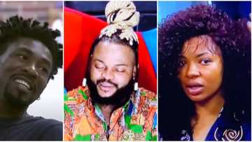 BBNaija: Whitemoney says he will evict Boma and Liquorose if he had the power, gives reason