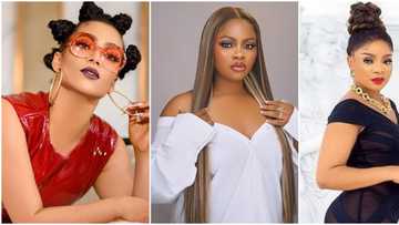 How can you have a heart so dark? Tega says as Queen shades Maria for accepting deal she turned from a company