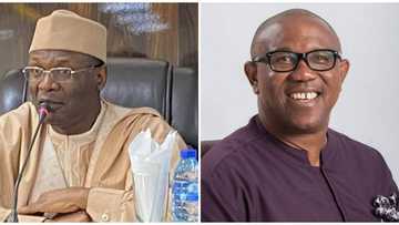 INEC accuses Peter Obi, Labour Party of refusing to pay N1.5m to access electoral documents requested