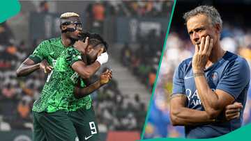 PSG reignite interest in Super Eagles star after Club World Cup loss to Chelsea