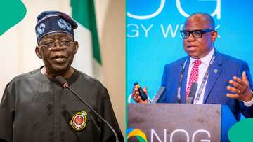 Bayo Ojulari: Analyst explains why presidency should protect NNPCL boss against 'vultures' amid controversies