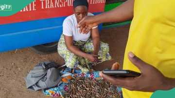 Photo emerges as troops capture female gun runner supplying terrorists in Katsina state