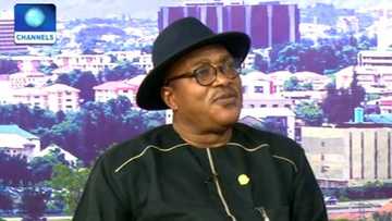 Zaɓen 2023 bazai yuwu ba matuƙar ba'a magance matsalar tsaro ba, Inji tsohon Daraktan DSS