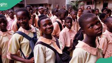 Kano parents speak out on rising private school fees amid alleged declining standards