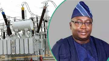 Tinubu's minister laments as more industries shun national grid, generate their own power