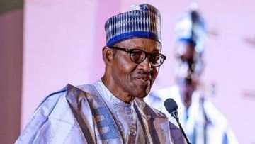COVID-19: Abinda yasa ake samun yawaitan mace-mace a Najeriya - FG