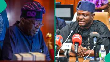 Nentawe Yilwatda: 10 facts about new APC national chairman