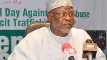 NDLEA za ta fara gwajin kwaya na dole ga matan da ke shirin aure
