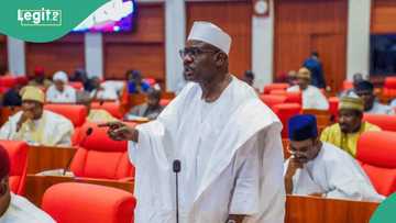 Sanata ya fadi lokacin da zai dauki Tinubu ya murkushe yan bindiga idan yana so