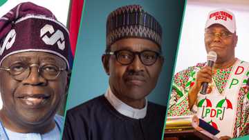 Did Buhari help Atiku against Tinubu in 2023 presidential election? Garba Shehu opens up