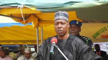 Zulum: Bana goyon bayan kafa 'yan sandan jihohi - za su ƙara dilmiya Najeriya cikin matsala