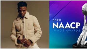 NAACP Image Awards: Singer Wizkid bags 2 awards with hit song Essence