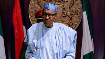 FG urges Western allies to declare bandits, Boko Haram, IPOB as terrorists