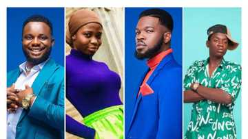 Digital tax: Bloggers, skit makers to get FG approval for online adverts