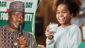 Ana kukan abinci ya yi tsada, 'yan Najeriya na shan lita biliyan 1.6 ta madara a shekara