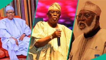 APC primaries: Former presidents, governors whose children won reps tickets