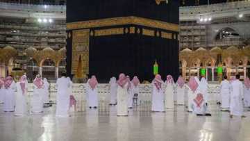 Jerin sabbin sharuda 5 ga masu aikin Hajjin bana da Saudiyya ta gindaya