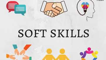 Que sont les soft skills? Définitions, liste, exemples, traduction