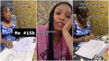 "He's always giving excuses": Nigerian kid reveals how much dad & mum are owing her, video stirs reactions