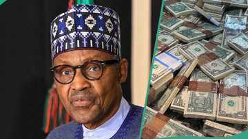 Did US authorities find $5 billion in Buhari’s New York house? Fact emerges