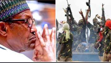 Kabilar Ijaw Ta Gargadi Buhari Kan Tamkawa Tsagerun Neja Delta da Ya Yi