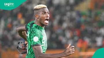 "Dem dey fight for woman": Fans react as Osimhen scores against Zimbabwe, Video
