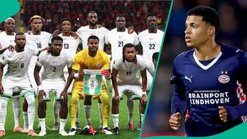 Super Eagles receive major boost as Bundesliga star opens door to Nigeria call-up