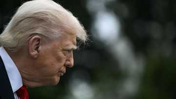 Trump's popularity with US voters slumps in opinion polls