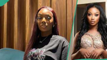 BBNaija Tolanibaj drags Christy O for saying she hustles at Farmcity: "Karma came quick"