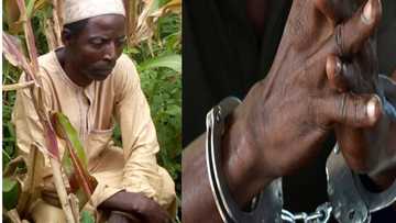 Hotuna: 'Yan sanda sun damke mutumin da ya birne jikansa da rai