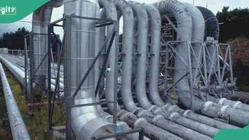 Pipeline surveillance: Tinubu urged to review Tantita's contract, "Few individuals benefited"