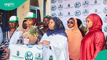 Yadda aka yaudare ni a NNPP na dauka ina takara in ji mai neman kujerar majalisa