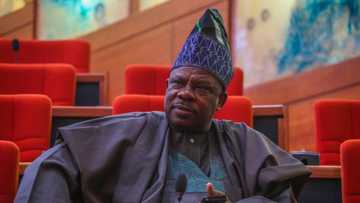 APC presidential primary: Ibikunle Amosun steps down for Bola Tinubu