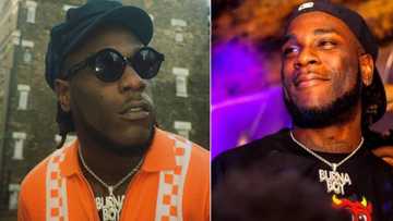Burna Boy apologises for kicking fan who tried to rob him during Zambian concert (video)