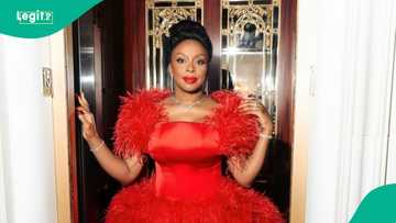 Doctors suspended over Chimamanda Adichie’s son’s death demand apology, allege unfair hearing