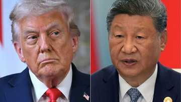 Trump says to push China's Xi on soybeans as US farmers struggle