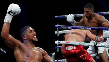 Anthony Joshua defeats Kubrat Pulev by TKO to successfully defend his WBA, WBO and IBF titles