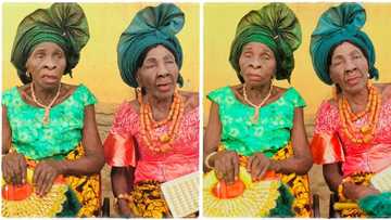 "They are still slaying": Video shows twins who are said to be 138 years old as they mark birthday