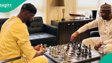 Zamfara group questions gov Dauda's chess game amid insecurity