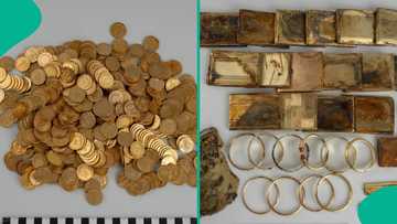 Two people discover gold coins worth N571 million inside forest in Krkonoše Mountains