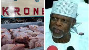 Ana shirin shigo da kaji masu dauke da cutar Korona Najeriya - Hameed Ali, CG Kwastam