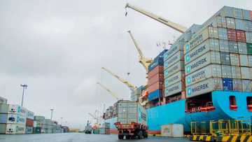 Shugaban BUA: Kawo kwantena daga China zuwa Legas ya fi arha kan daga Legas zuwa Kano