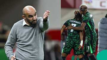 AFCON 2025: Morocco coach reveals strategy to stop Victor Osimhen and Ademloa Lookman in semifinal clash