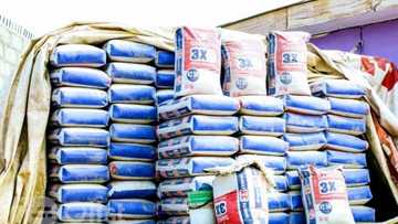 A ‘yan watanni, simintin Dangote ya saida kayan N413bn, ya tashi da ribar Biliyoyin kudi