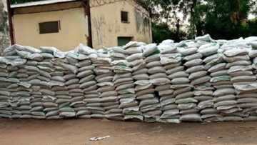Ruwan sama ya lalata dumbin kayan abinci da FG ta bawa Kano tallafin rage radadin korona